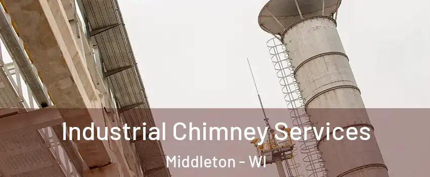  Industrial Chimney Services Middleton - WI
