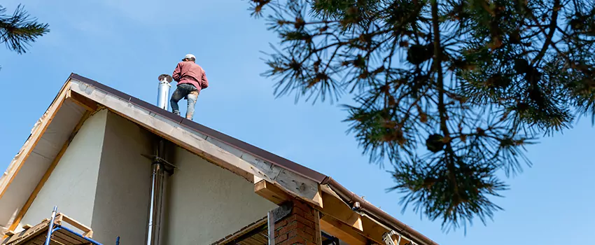 Birds Removal Contractors from Chimney in Middleton, WI